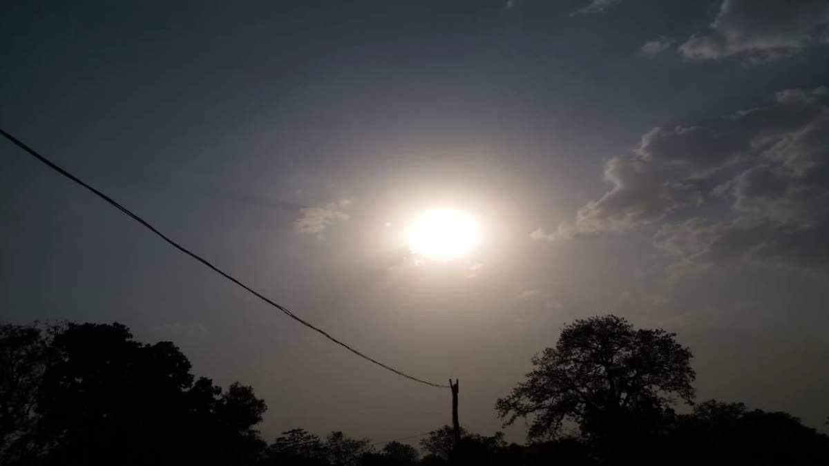 मध्य प्रदेश के 10 जिलों में भीषण गर्मी का अलर्ट, रातों को भी नहीं मिलेगा सुकून, गर्म हवाओं का जोर