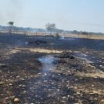 नरवाई की आग न्यायलय तक पहुंची: केबल जलने से 3 घंटे ठप रहा कामकाज आरोपी सोहेल खान पर केस, 1 लाख रुपए का नुकसान देवेंद्र रघुवंशी, चाणक्य न्यूज गंजबासौदा।