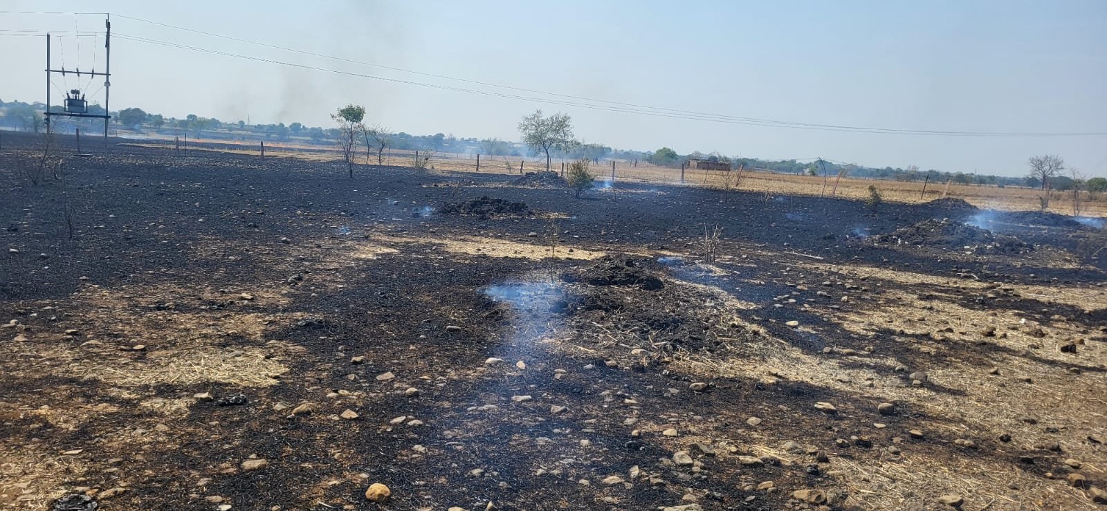 नरवाई की आग न्यायलय तक पहुंची: केबल जलने से 3 घंटे ठप रहा कामकाज आरोपी सोहेल खान पर केस, 1 लाख रुपए का नुकसान देवेंद्र रघुवंशी, चाणक्य न्यूज गंजबासौदा।